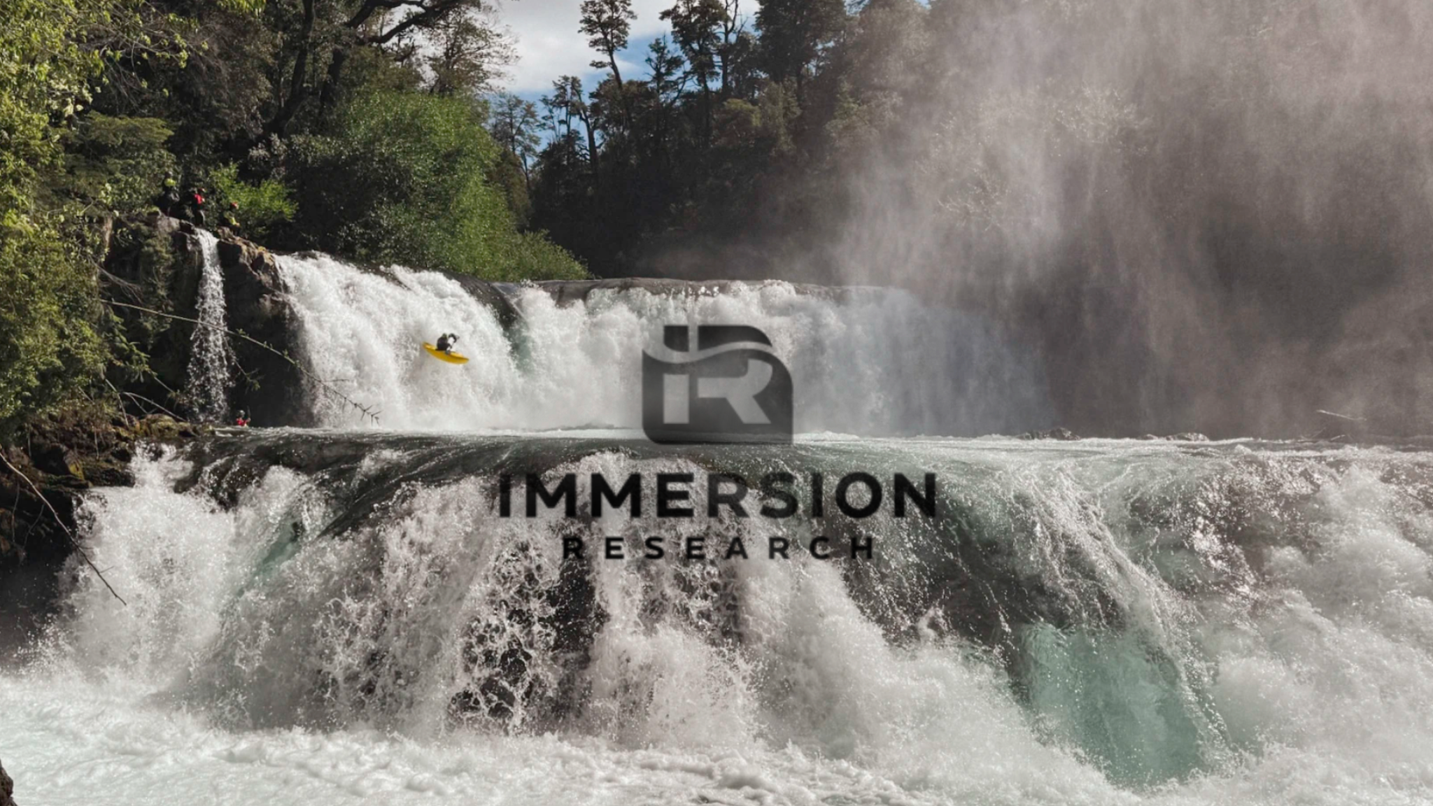 Immersion Research Logo